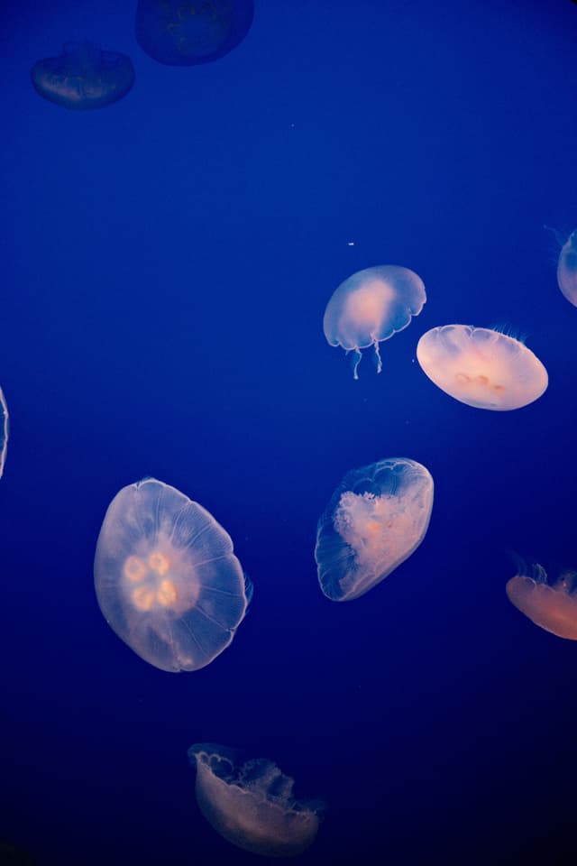 10 OCT 26